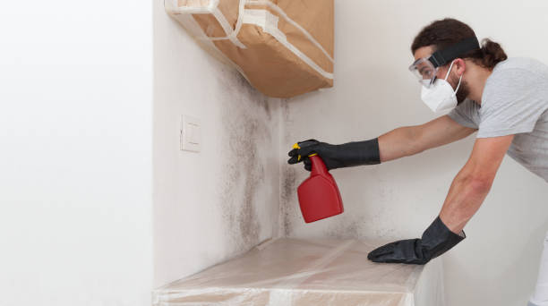 Professional Crawl Space Mold Removal technician working in Reading, MA
