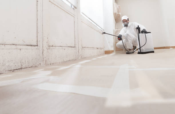 24/7 Emergency Crawl Space Mold Removal experts in Reading, MA
